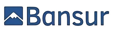 Carsav Seguros
